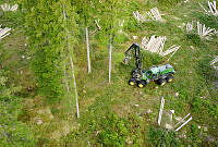 hovmantorp04.JPG