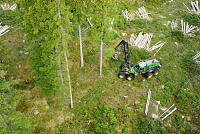 hovmantorp04.JPG