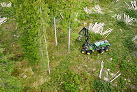hovmantorp04.JPG