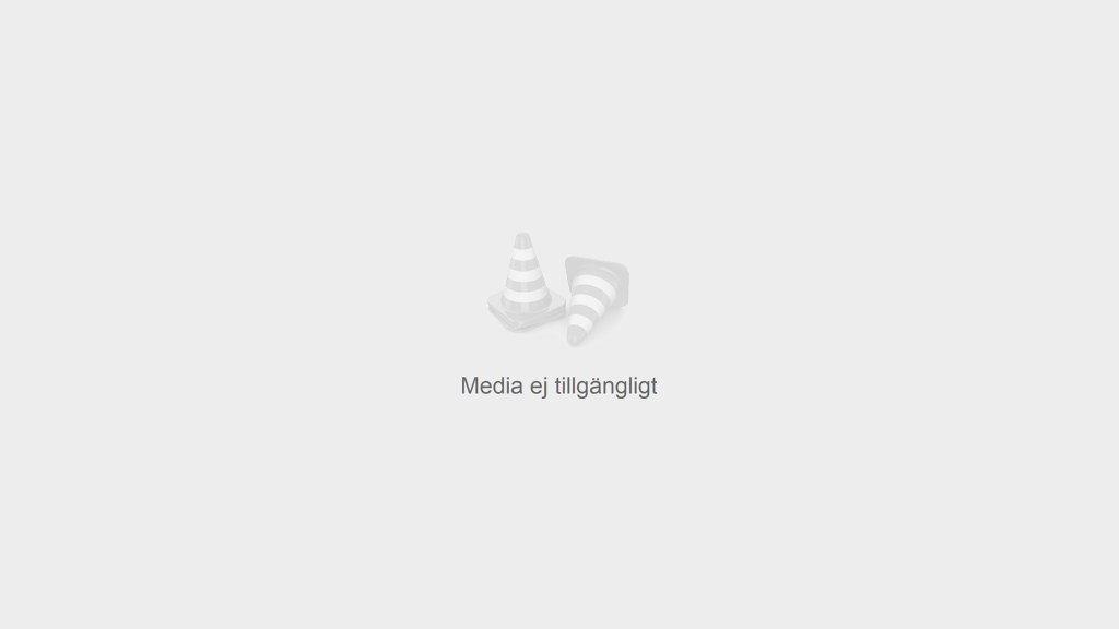 Skogsdag i Linneruds skogsbruksområde. Södras första skogsbruksområde (1950). Tv. OC (inspektor) Carl Fornling. Datum: 31.5.58