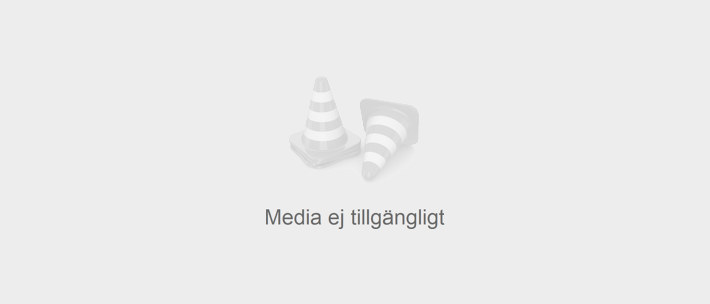 Trädplanta